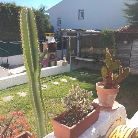 Casa Dos Cedros ξενώνας Σετούμπαλ Εξωτερικό φωτογραφία